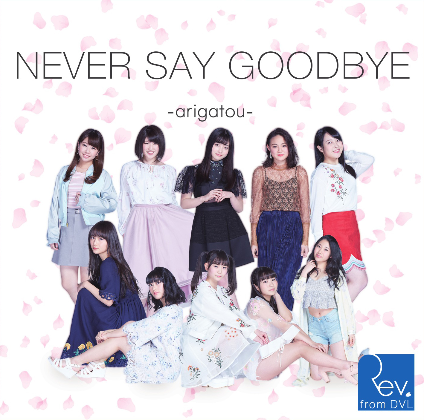 NEVER SAY GOODBYE ~arigatou~ - Rev.from DVL 応援 wiki