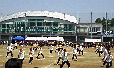 本/雑誌]/スポーツ社会学研究第20巻第1号(2012)/日本スポ