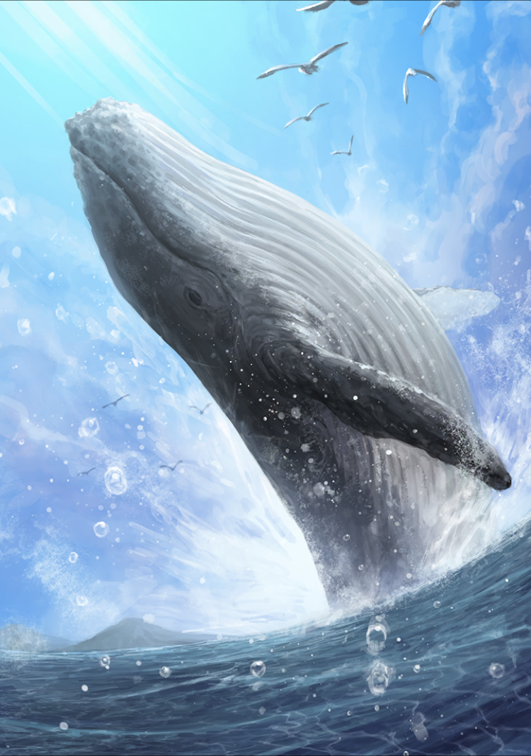 シロナガスクジラ フォト アプリ版けものフレンズ３wikiなのだ