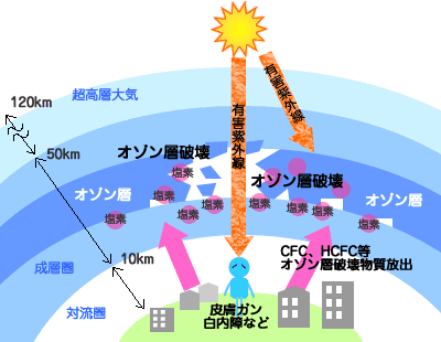 霧島 裏 路地 カフェ