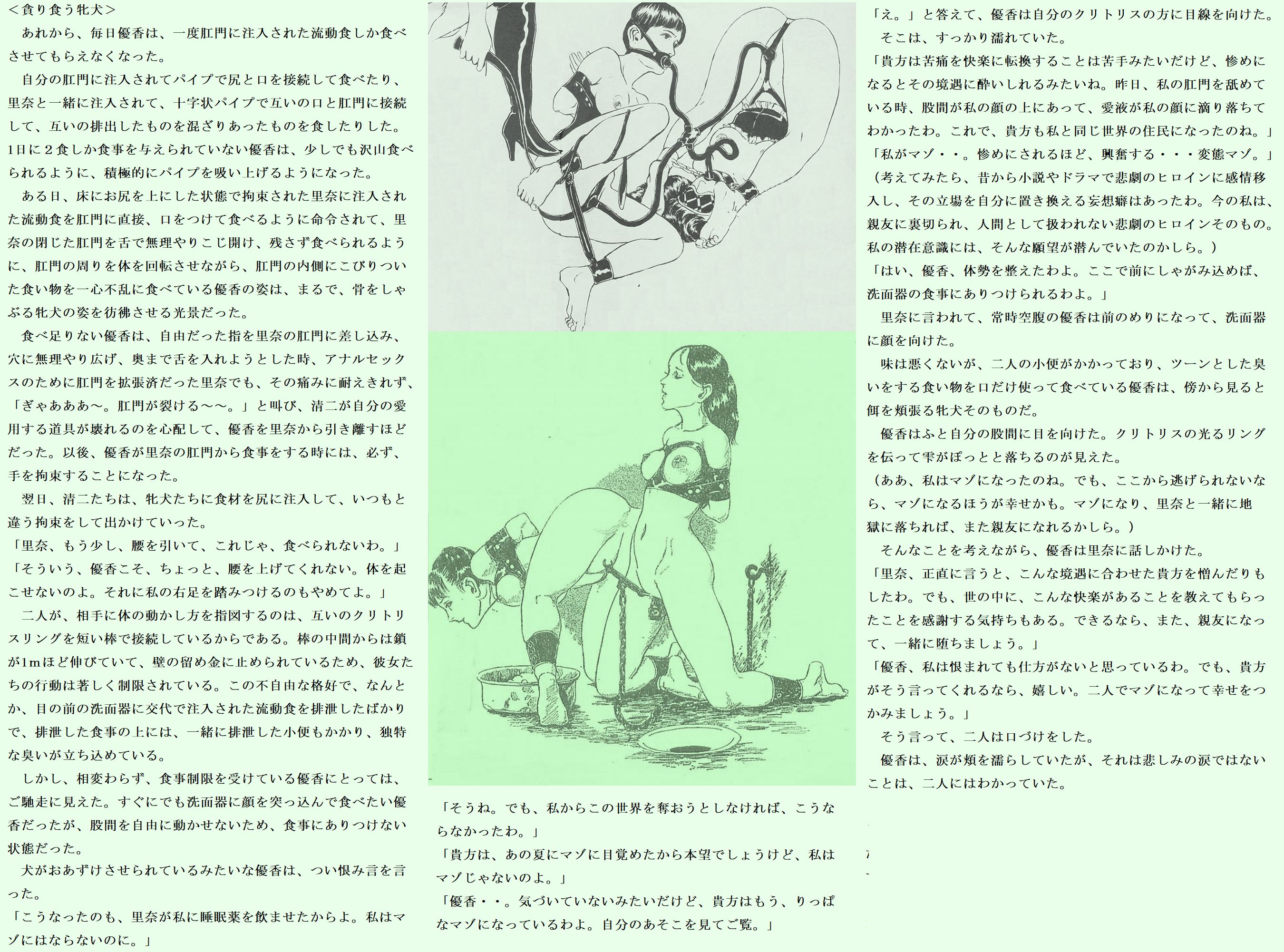 緊縛 ||駿河問い緊縛ＳＭあぐら縛り 