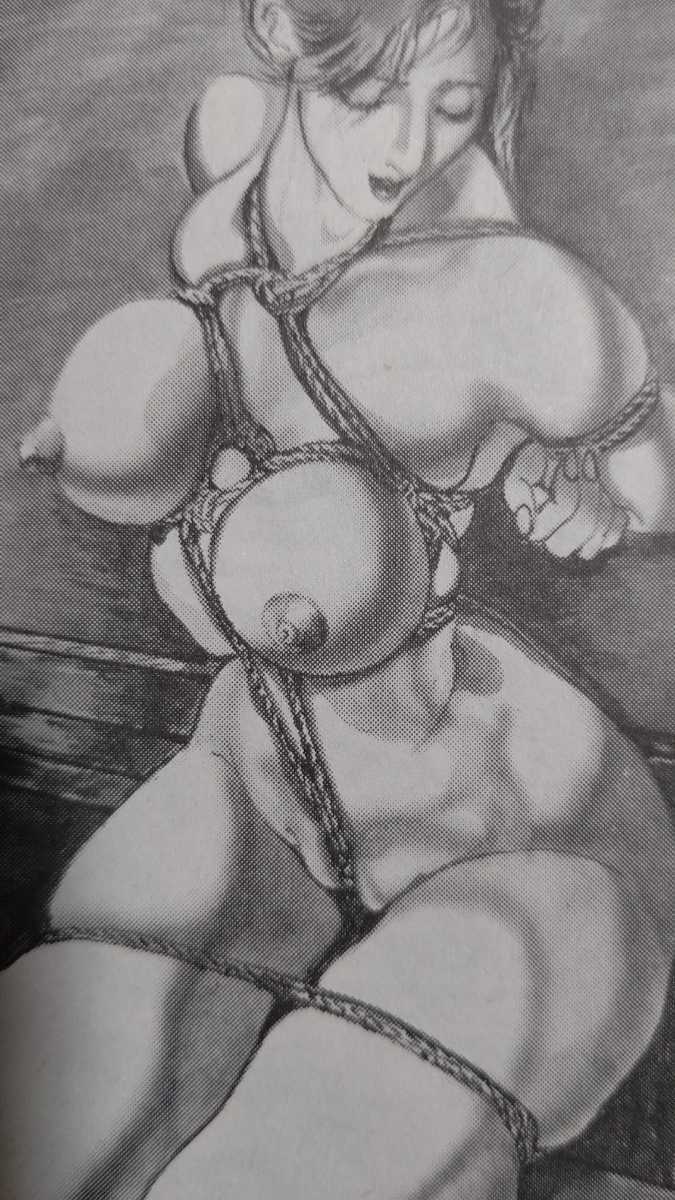 渡辺　一緊縛挿絵 