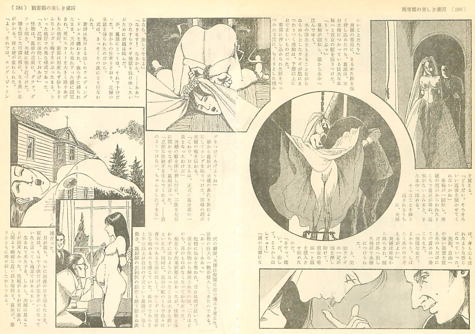 緊縛挿入画像責め絵挿絵　桐丘裕詩 