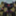 combat_flame_nix_zc