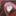 nanasi_714