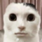 namamono0486