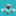 sho_flower2